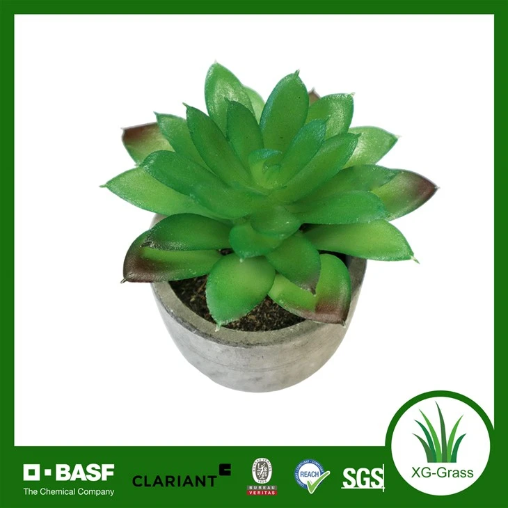 Medium Artificial Succulent Potted Plant high quality