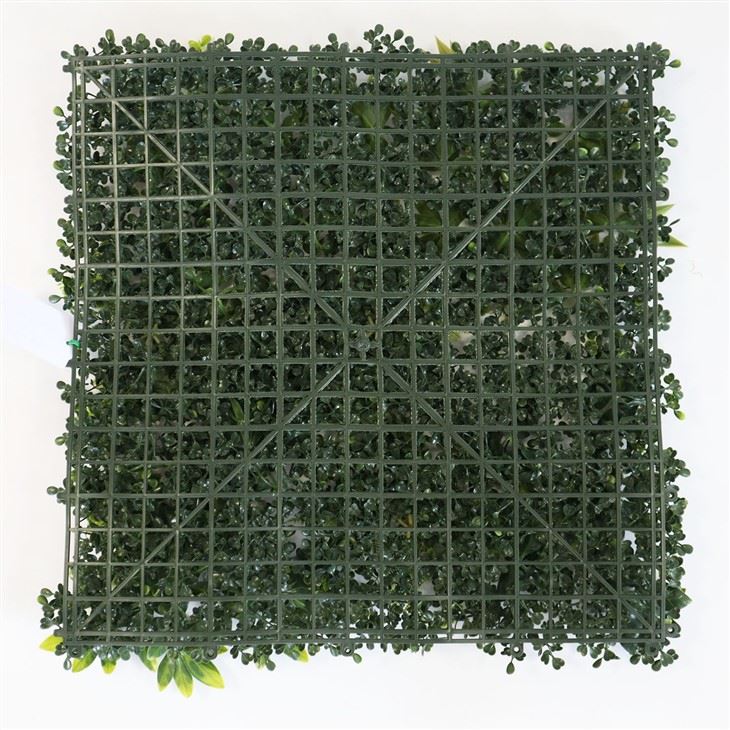 Living Green Wall Indoor