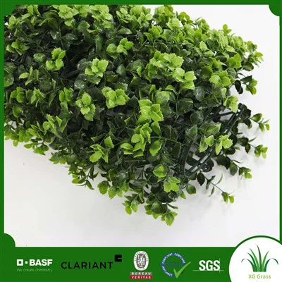 Perete verde decorativ