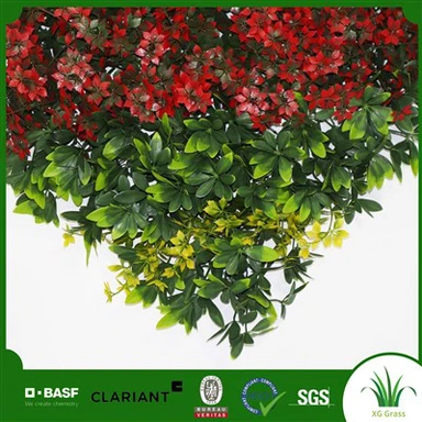 Zidul de iarbă în apartament