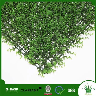 Grădină cu plante medicinale suspendată pe perete de interior