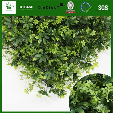 Living Wall Interior Birou