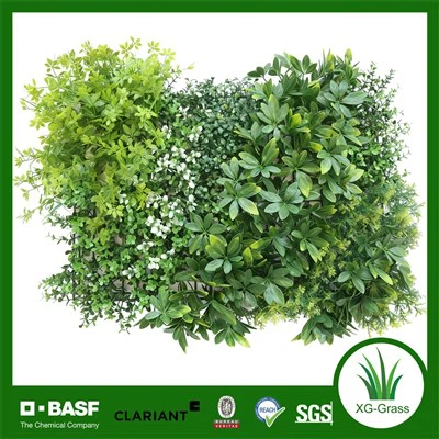 Xingu Edit Panouri de perete din iarba artificiala Xingu Premium 40X60 pentru decorarea casei