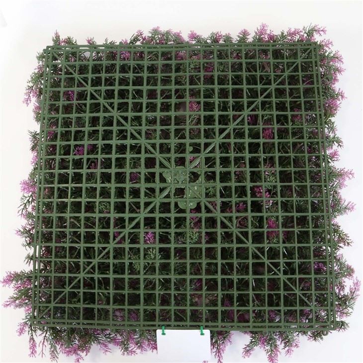 Vertical Indoor Plant Wall
